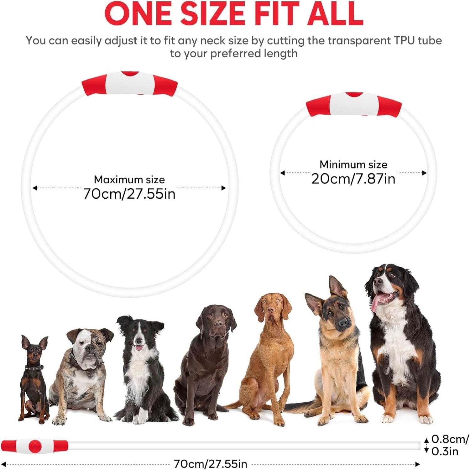 USB Rechargeable LED Safety Collar For Pets-Paw Print Pad