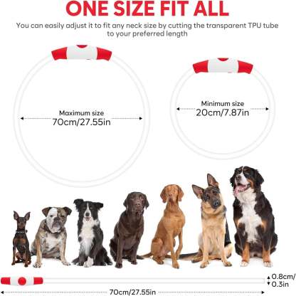 USB Rechargeable LED Safety Collar For Pets-Paw Print Pad