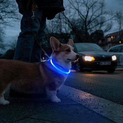 USB Rechargeable LED Safety Collar For Pets-Paw Print Pad