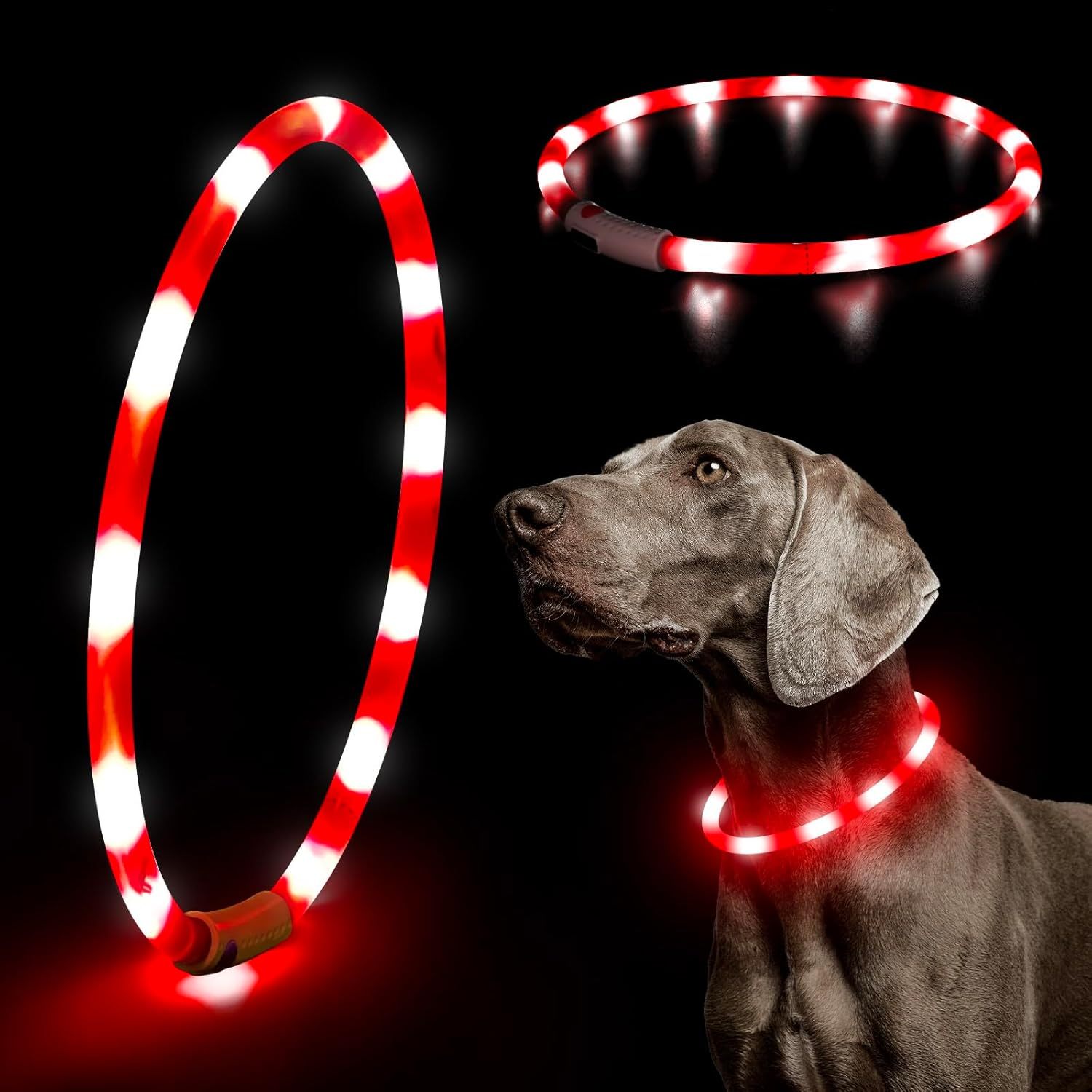 USB Rechargeable LED Safety Collar For Pets-Paw Print Pad