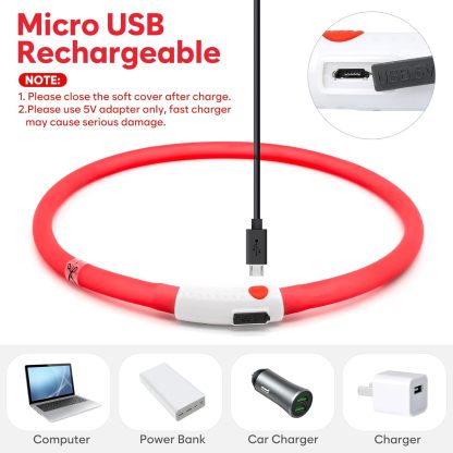 USB Rechargeable LED Safety Collar For Pets-Paw Print Pad