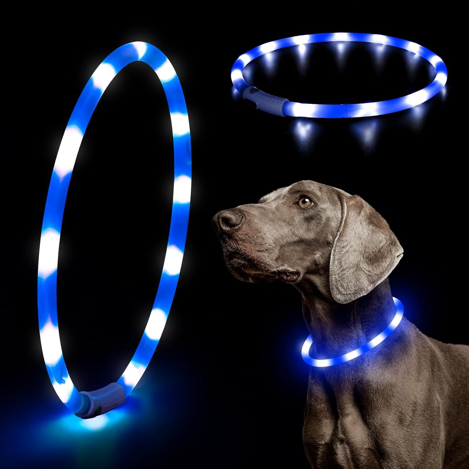 USB Rechargeable LED Safety Collar For Pets-Paw Print Pad