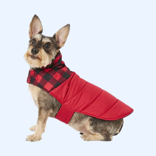 Dog Apparel