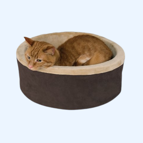 Cat Beds