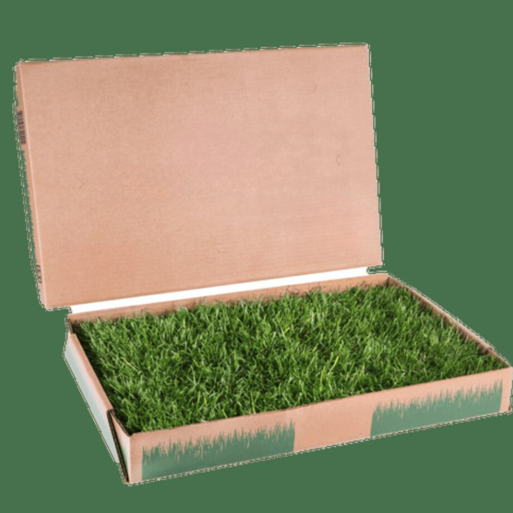 Large Patch Real Grass Dog Waste Box-Paw Print Pad