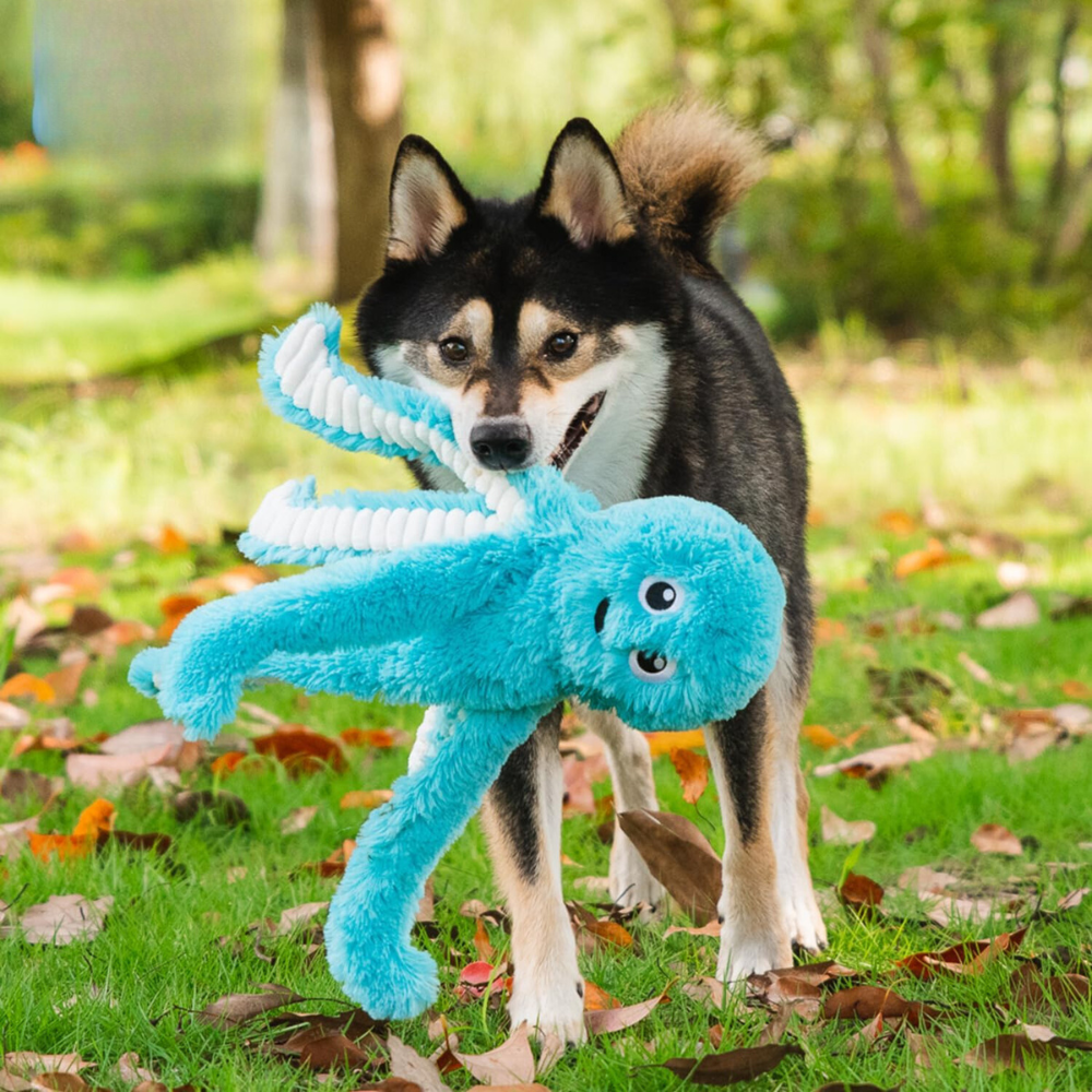 Octopus Crinkle Plush Dog Toy For Interactive Play-Paw Print Pad
