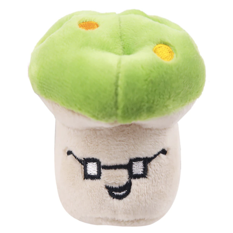 Squeaky Dog Toys