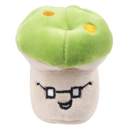 Squeaky Dog Toys