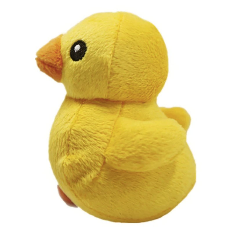 Squeaky Dog Toys