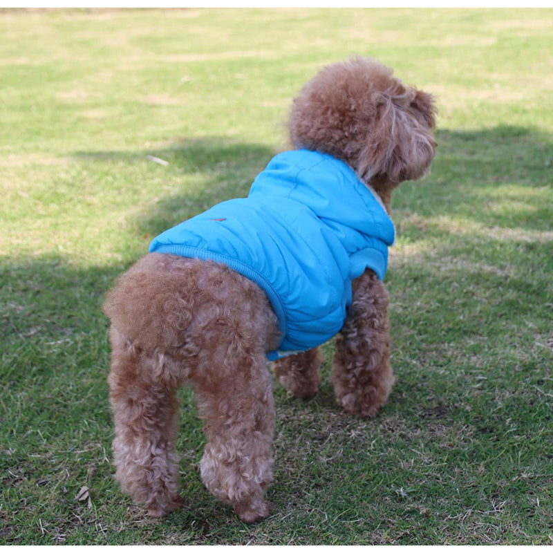 Fleece Lining Extra Warm Dog Hoodie In Winter For Small Dogs Jacket Puppy Coats With Hooded-Paw Print Pad