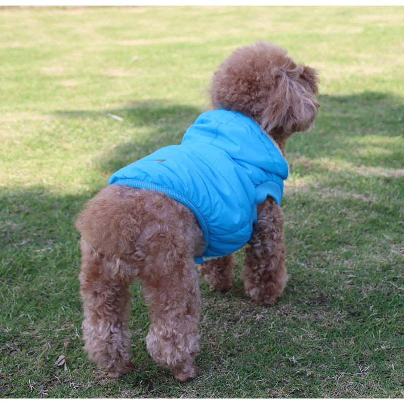 Fleece Lining Extra Warm Dog Hoodie In Winter For Small Dogs Jacket Puppy Coats With Hooded-Paw Print Pad