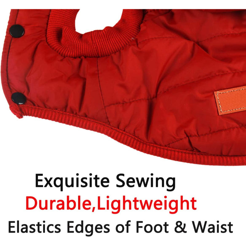 Fleece Lining Extra Warm Dog Hoodie In Winter For Small Dogs Jacket Puppy Coats With Hooded-Paw Print Pad