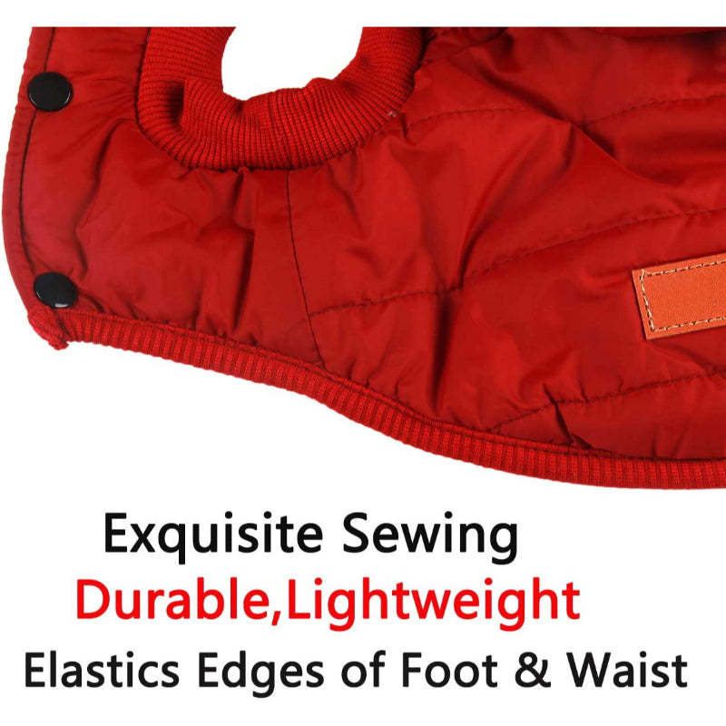 Fleece Lining Extra Warm Dog Hoodie In Winter For Small Dogs Jacket Puppy Coats With Hooded-Paw Print Pad