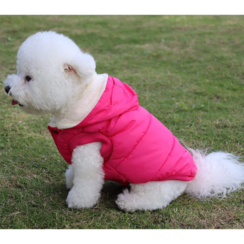 Fleece Lining Extra Warm Dog Hoodie In Winter For Small Dogs Jacket Puppy Coats With Hooded-Paw Print Pad