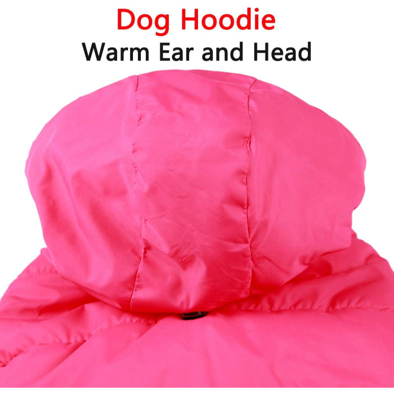 Fleece Lining Extra Warm Dog Hoodie In Winter For Small Dogs Jacket Puppy Coats With Hooded-Paw Print Pad