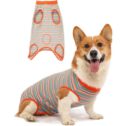 Female Dog Recovery Suit Pink Medium,Spay Suit,Male Recovery Suit,Narrow Pink Striped M-Paw Print Pad