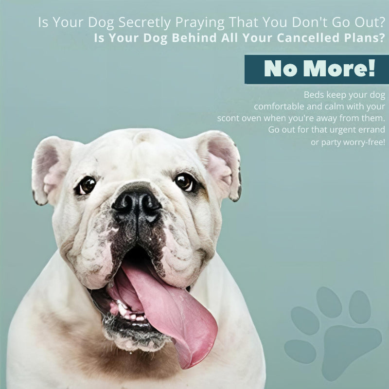 Waterproof Dog Bed Protector Liner-Paw Print Pad