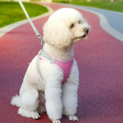 Soft Mesh Adjustable Pet Harness For Small Dogs And Cats