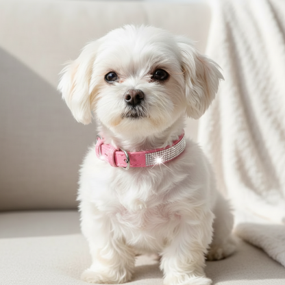 Adjustable Rhinestone Dog Collar