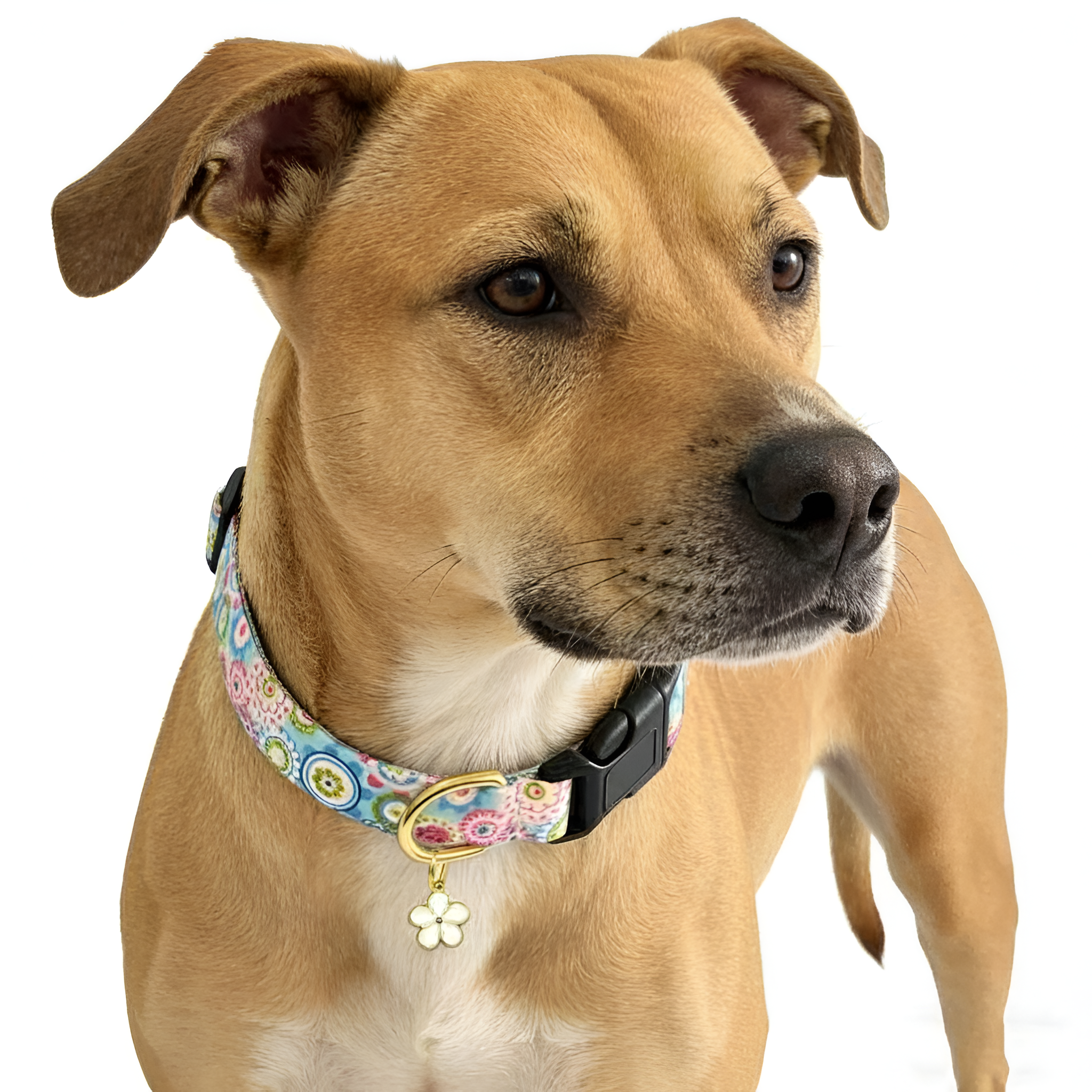 Cute Dog Flower Pattern Pendant Collar