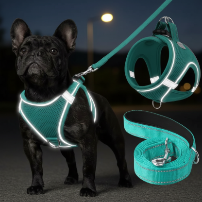 Adjustable Dog Harness With Leash Set
