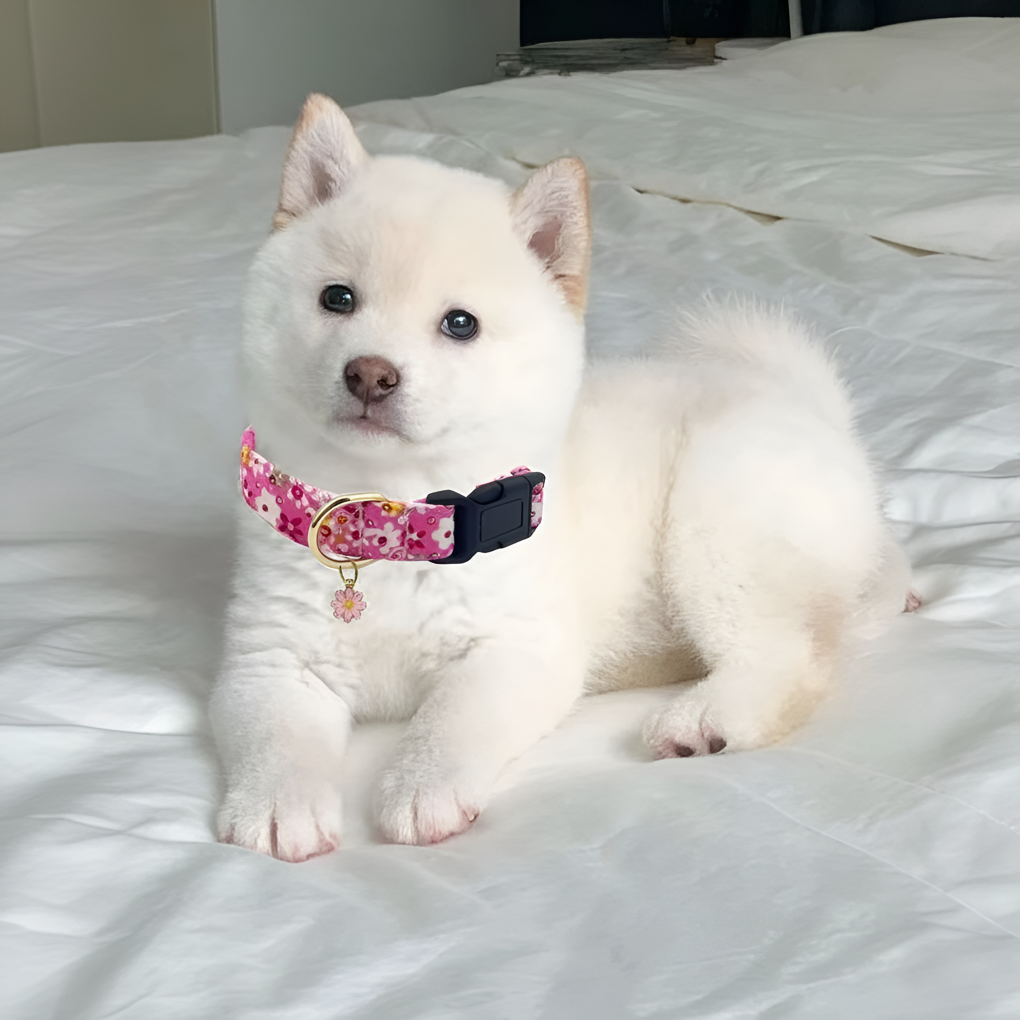 Cute Dog Flower Pattern Pendant Collar