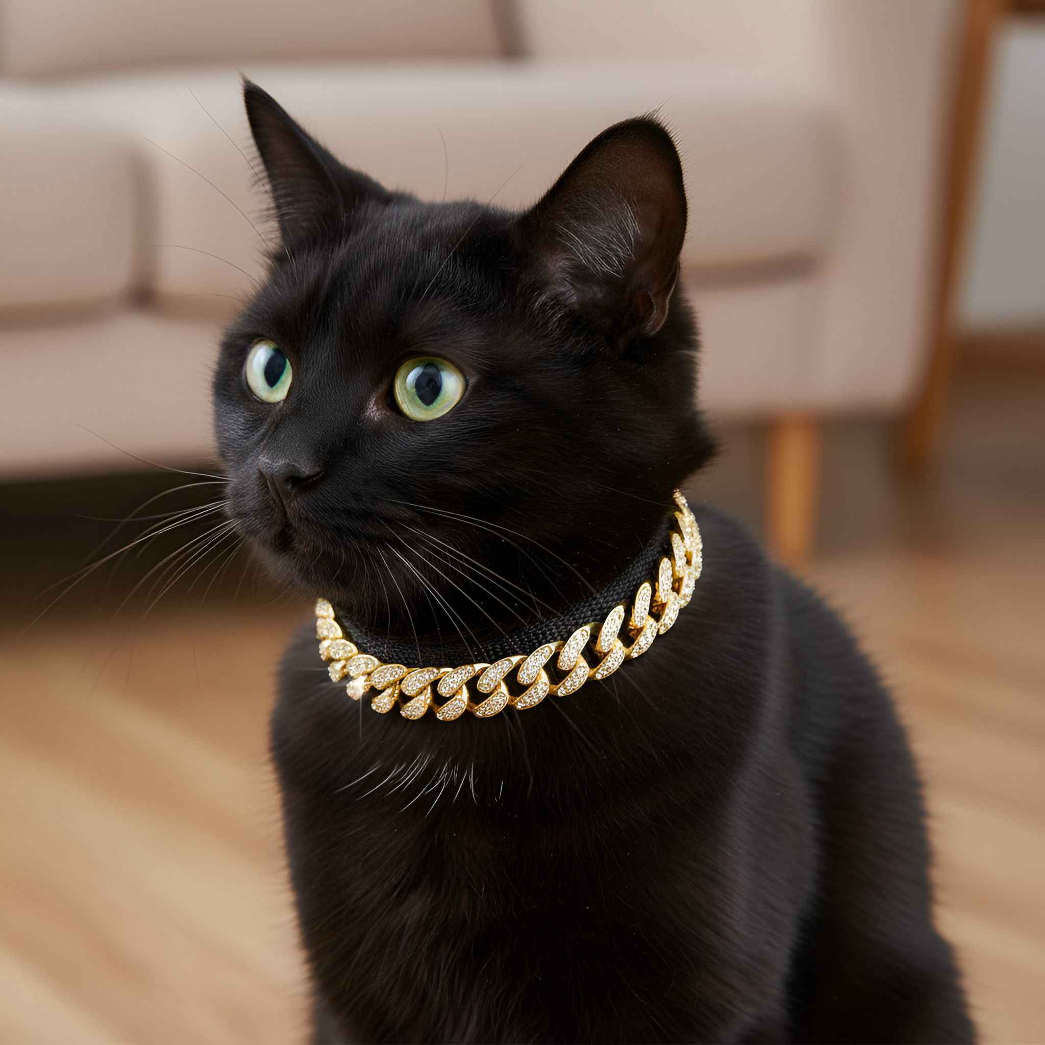 Crystal Encrusted Metallic Pet Collar With Chain Design