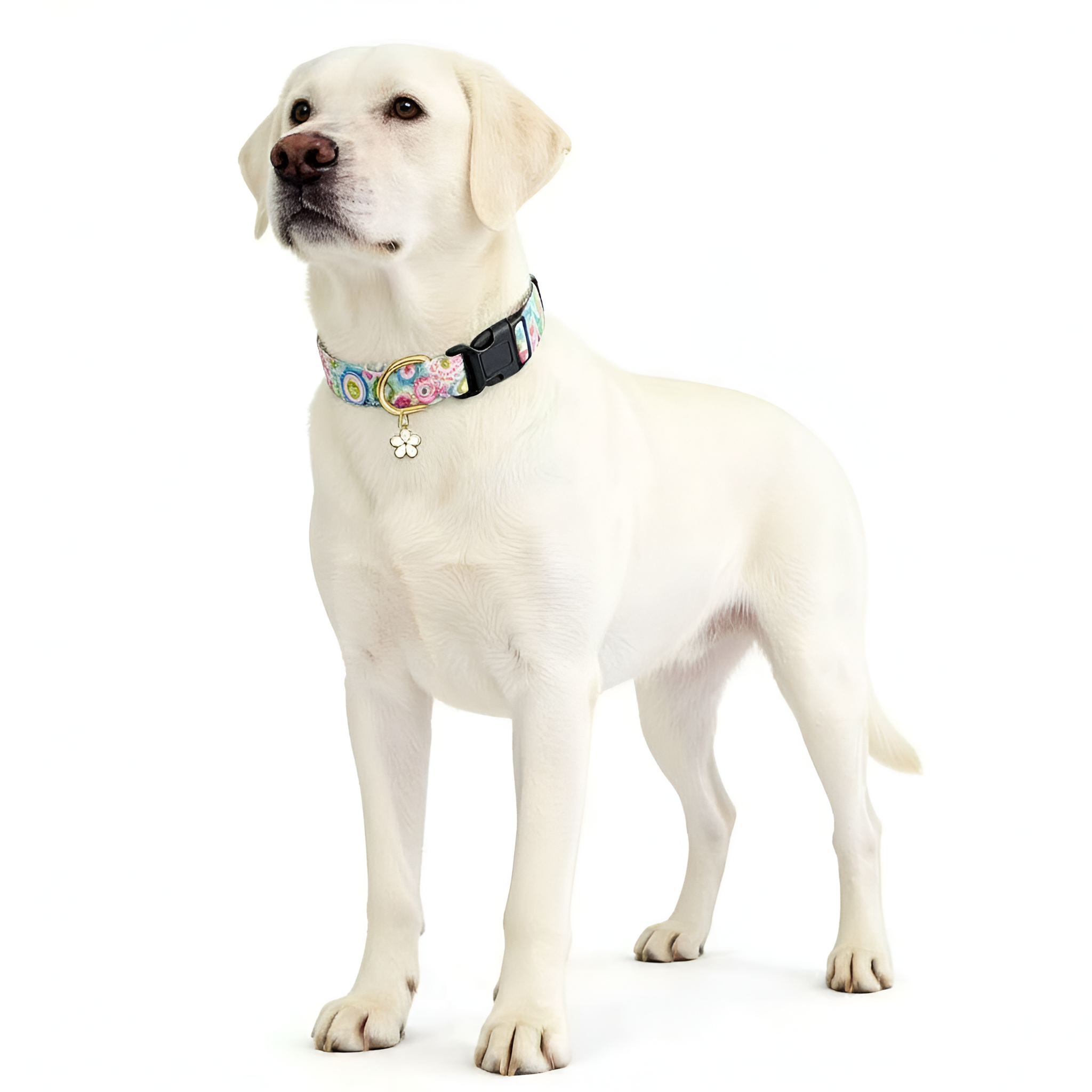 Cute Dog Flower Pattern Pendant Collar