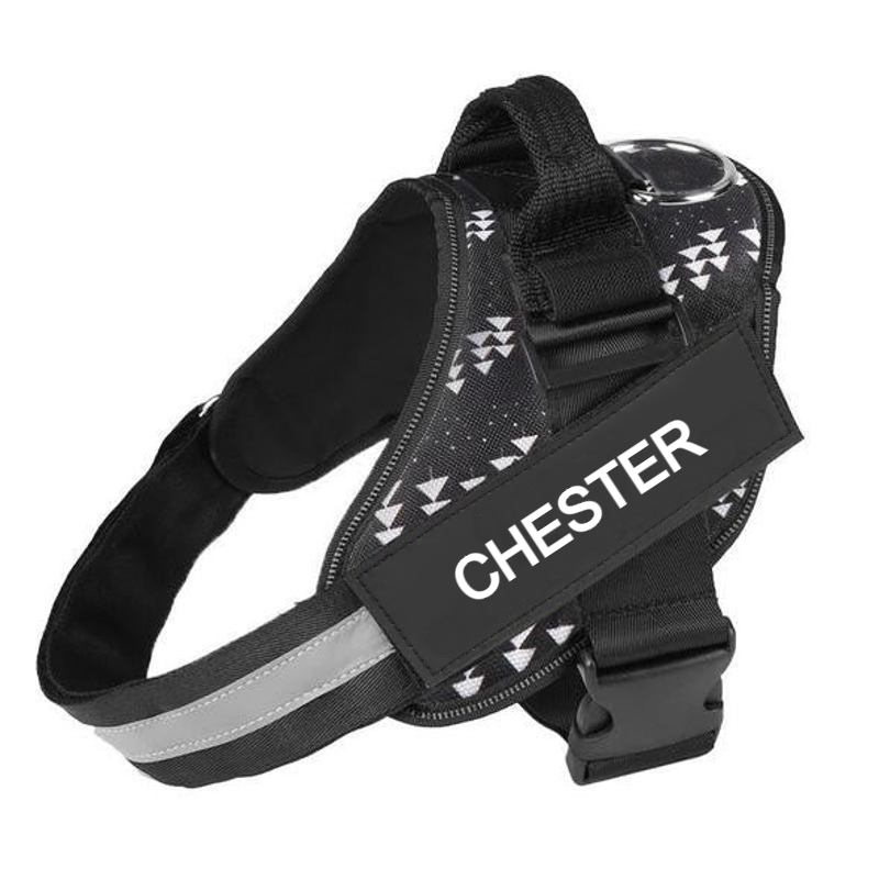 Custom No Pull Dog Harness With Name and Phone Number, Heavy Duty Personalized Pet Vest-Paw Print Pad