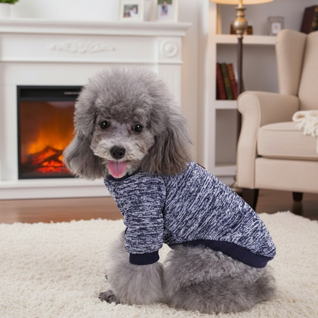 Winter Pet Sweater Outfit