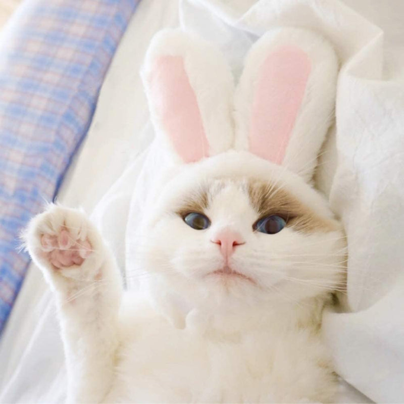Costume Bunny Rabbit Hat With Ears For Cats & Small Dogs Party Costume Easter Pet Accessory Headwear-Paw Print Pad