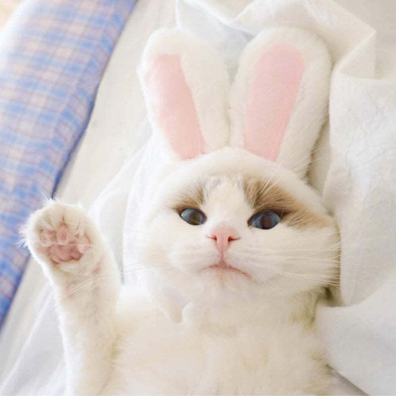 Costume Bunny Rabbit Hat With Ears For Cats & Small Dogs Party Costume Easter Pet Accessory Headwear-Paw Print Pad