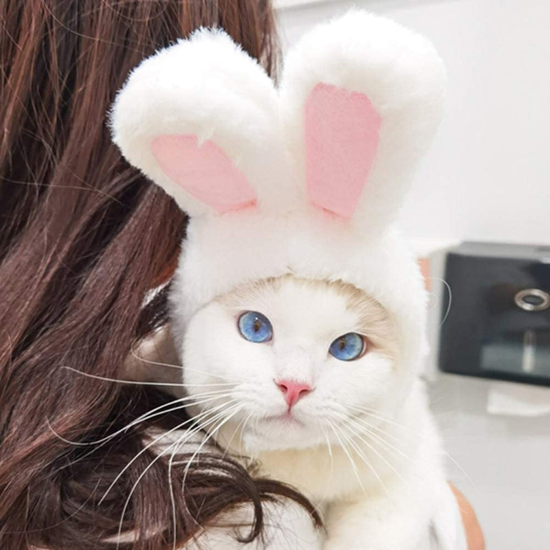 Costume Bunny Rabbit Hat With Ears For Cats & Small Dogs Party Costume Easter Pet Accessory Headwear-Paw Print Pad