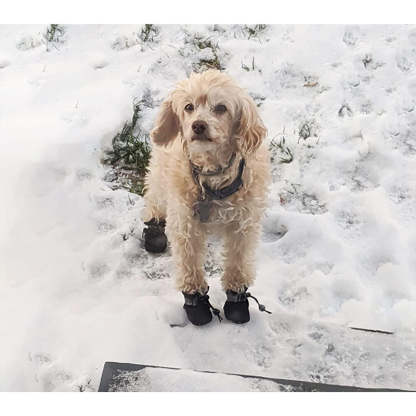 Dog Shoes Anti-Slip Dogs Boots & Paw Protector With Reflective Straps