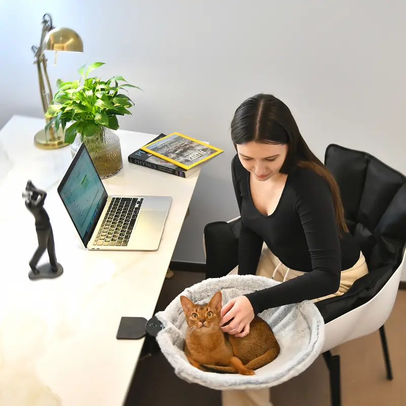 Detachable Washable Plush Cat Bed For Desk And Windowsill