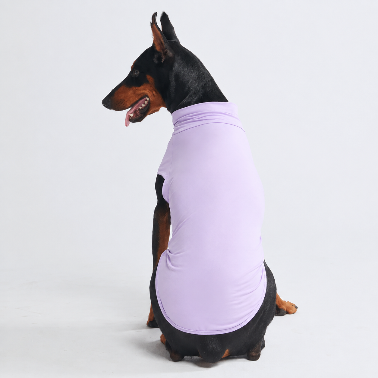 Set Of 2 Sunblock Quick Dry Soft Stretchy Lightweight T Shirts For Dogs