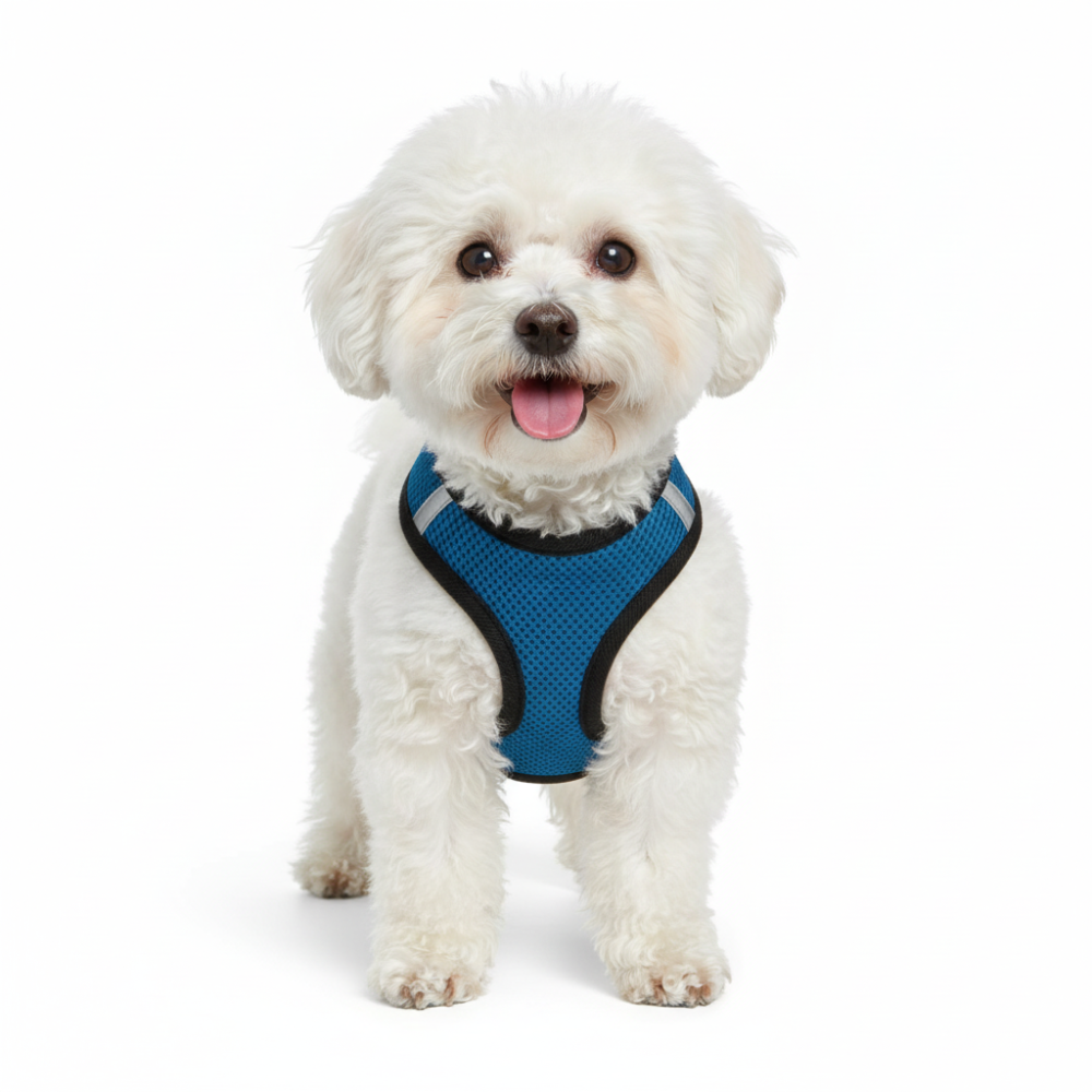 Step In Air Mesh Pet Harness