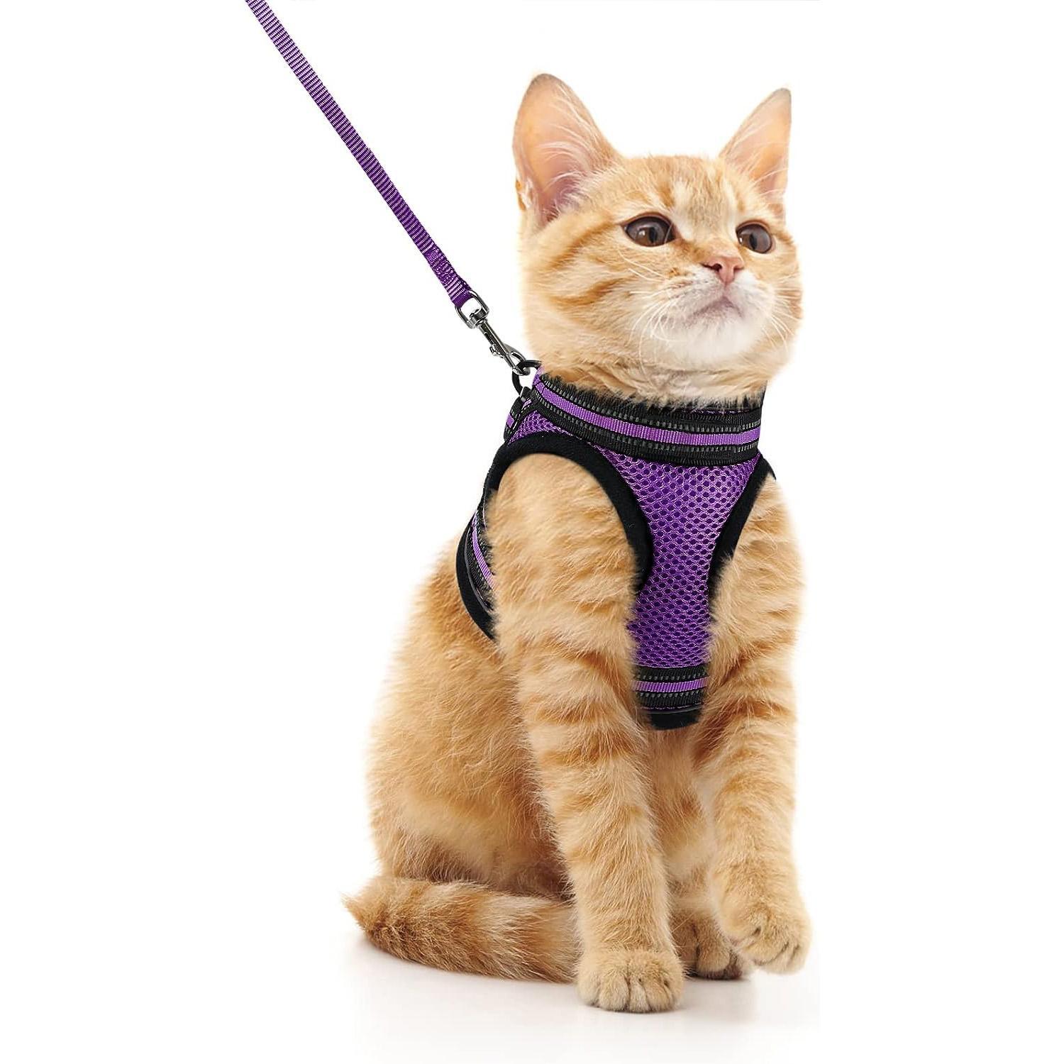 Outdoor Adjustable Soft Cat Vest Harness and Leash Set With Reflective Strips