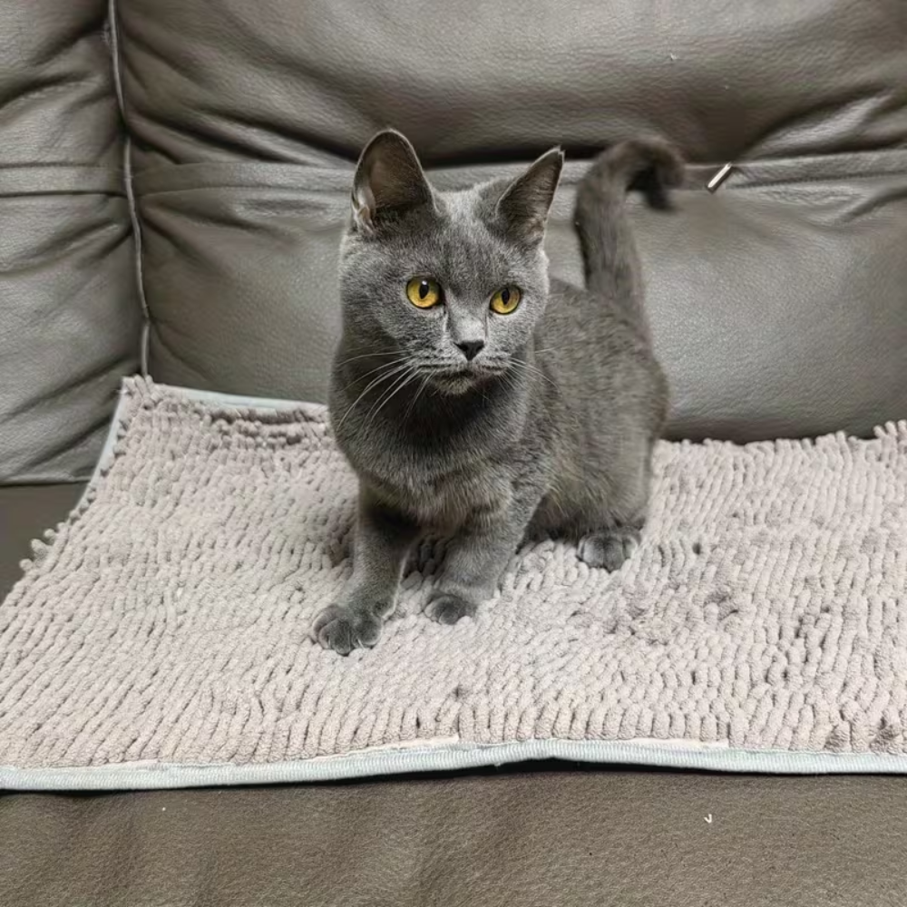 Dog Door Entry Floor Mat