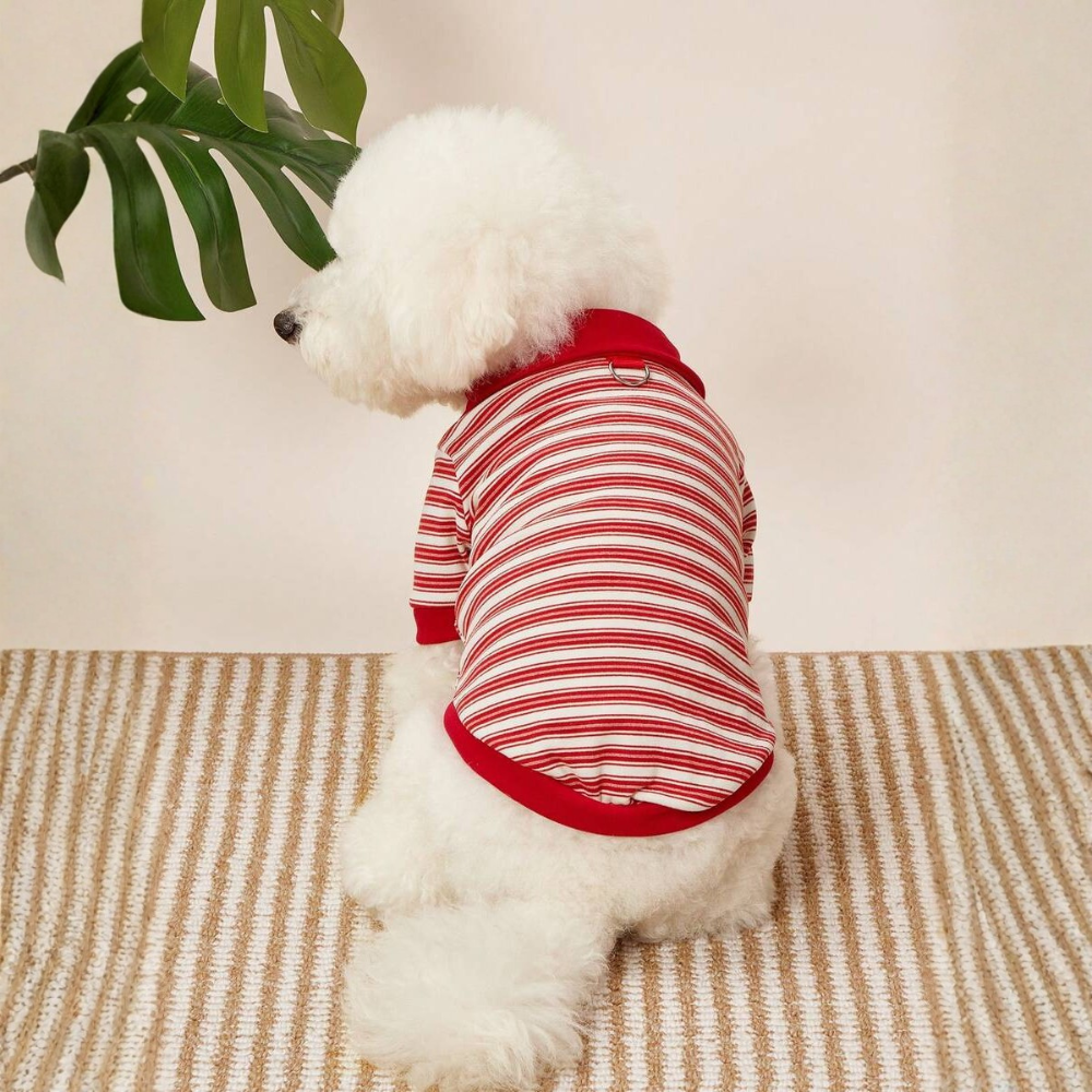 Striped Design Pet Polo Shirt For Cats And Dogs Winter Wear