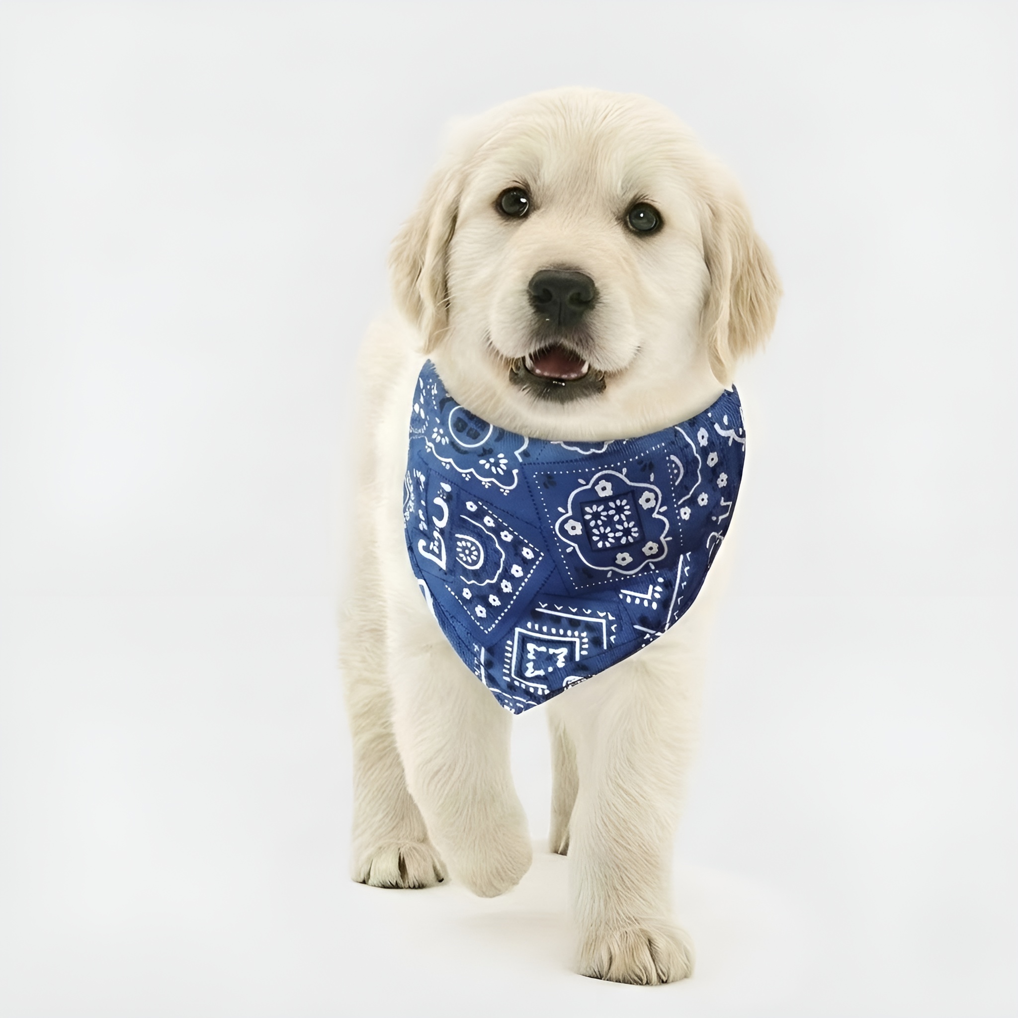 Adjustable Printed Triangle Pet Bandana Bib With Leash Hook For Dogs And Cats