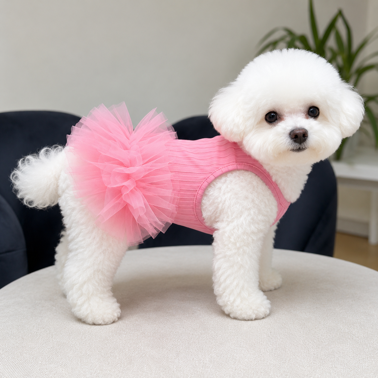 Spring Summer Pet Cooling Puppy Pet Pomeranian Dress