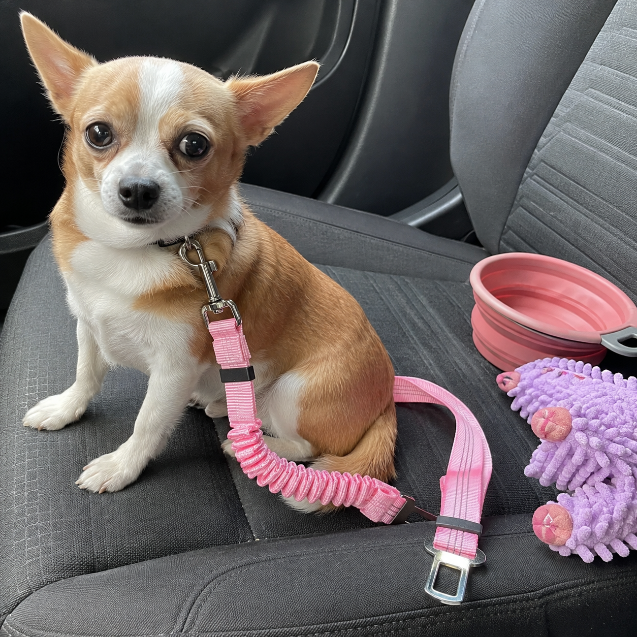 Adjustable Car Seat Belt Harness Leash For Pets