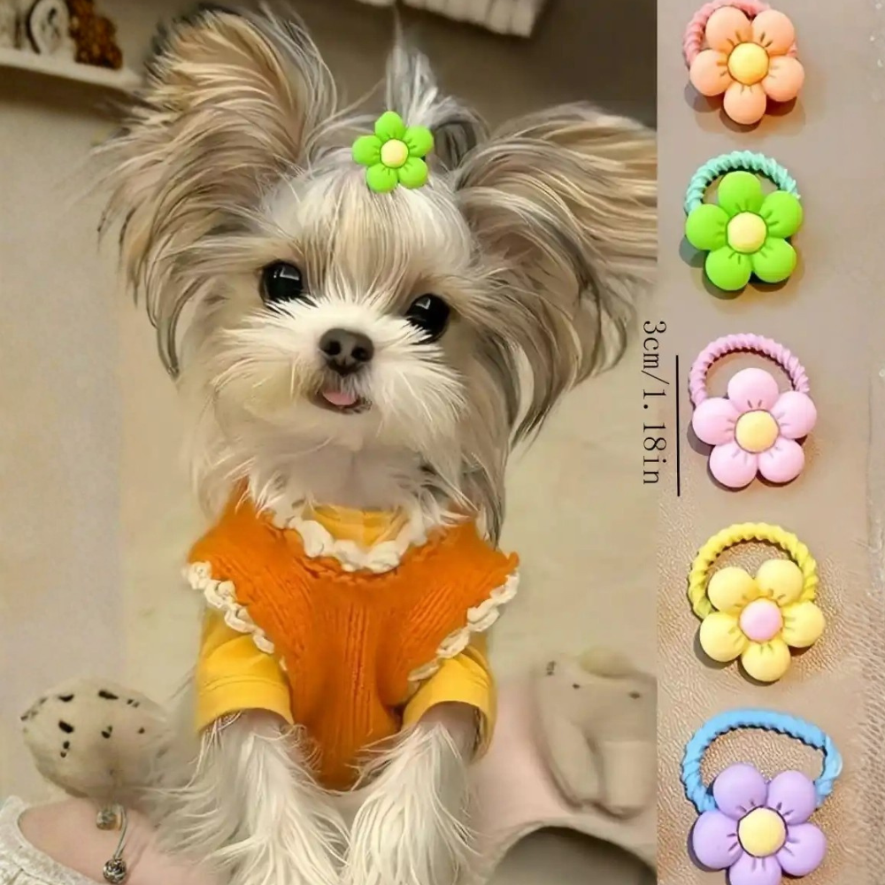 Pet Hair Accessories Set With Flower Bow And Fruit Designs