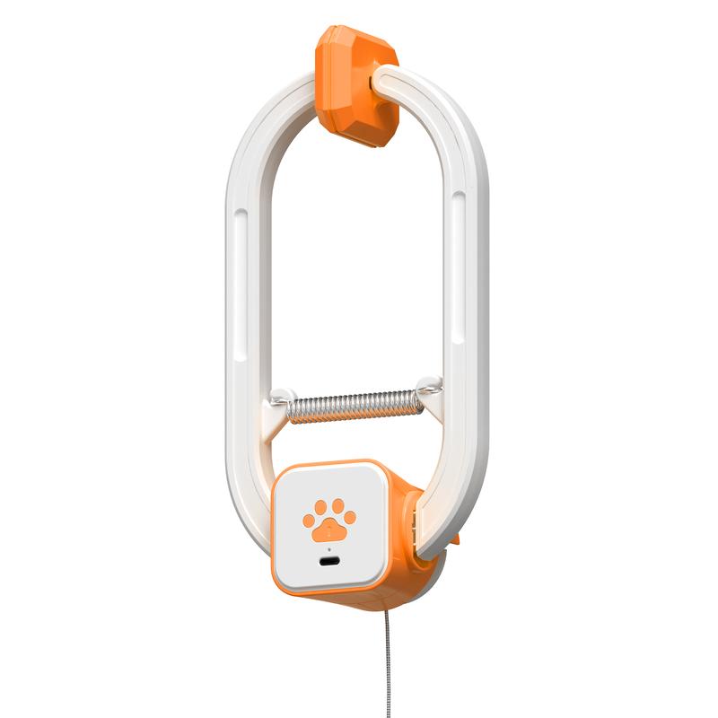 Auto Teaser Wand With 2 Fun Modes Rechargeable Cat Toy