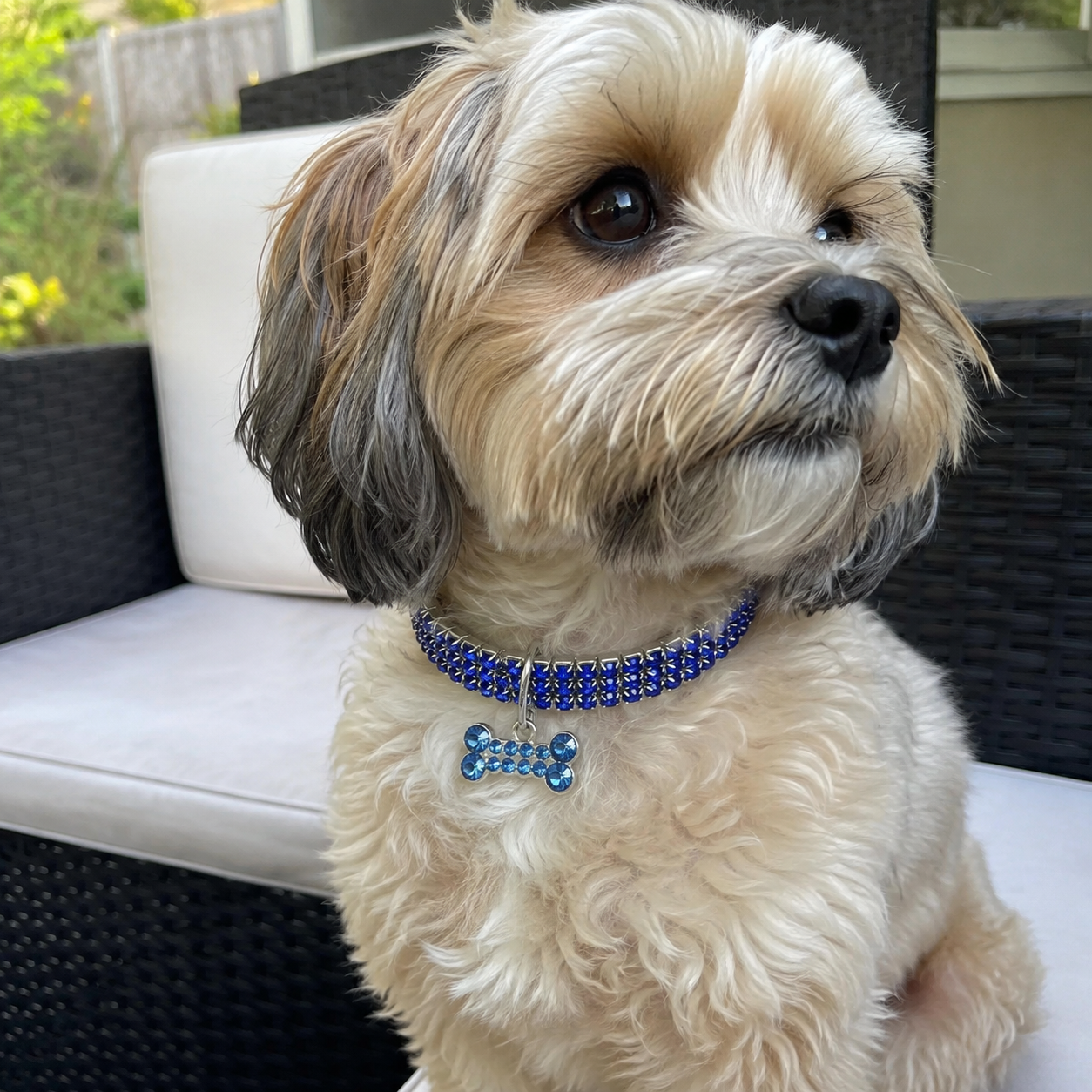 Adjustable Rhinestone Crystal Collar Chain For Dogs And Cats