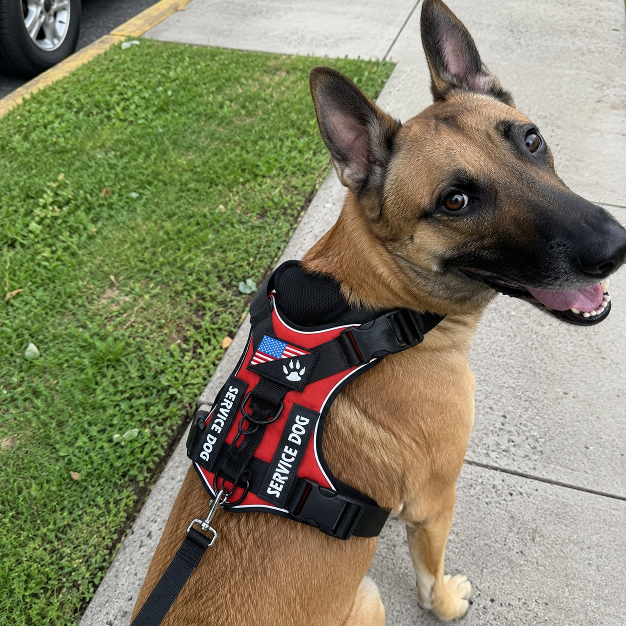 Adjustable Waterproof Soft Dog Harness With Reflective Vest 