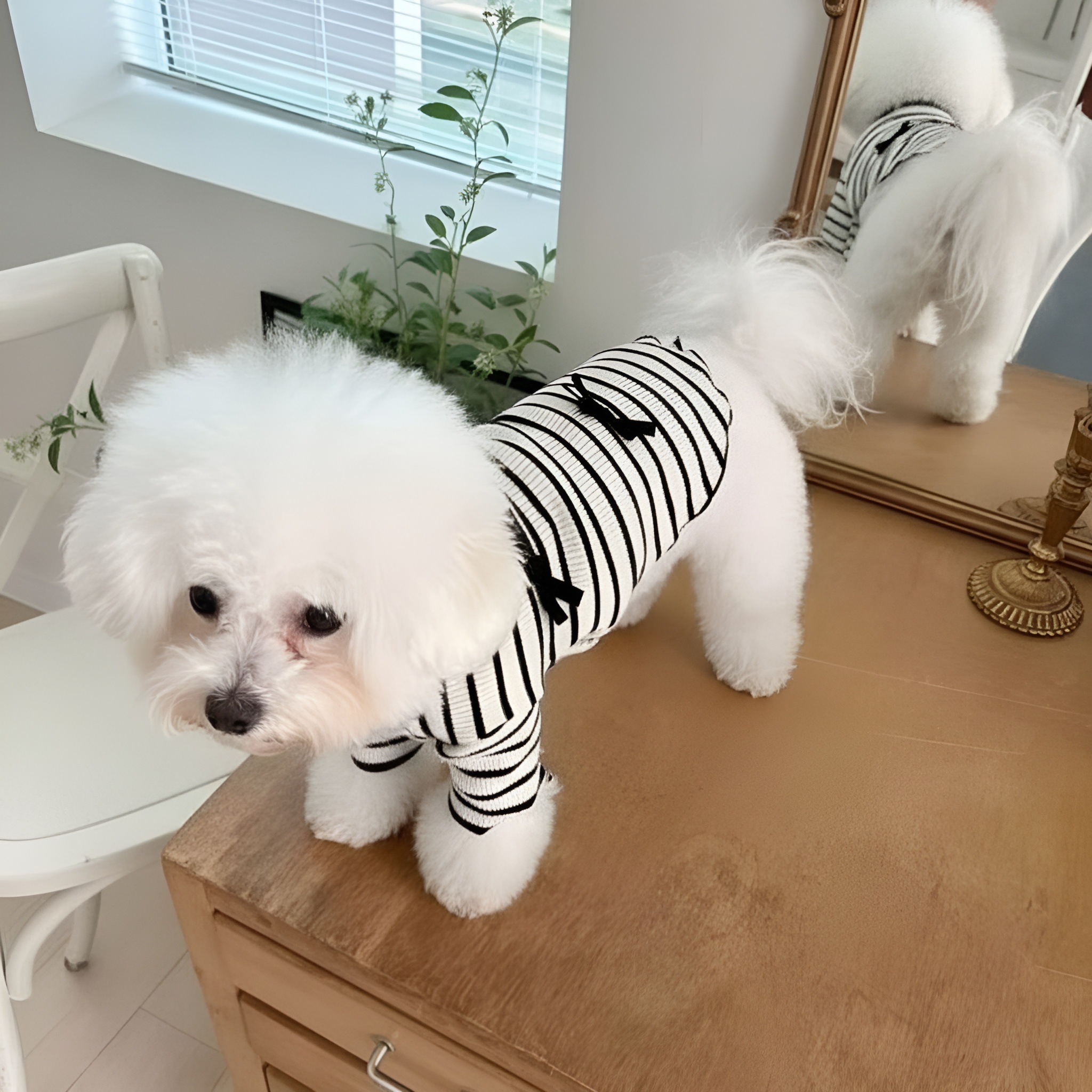 Striped Pet Dress With Bow For Small Dogs Summer Outfit