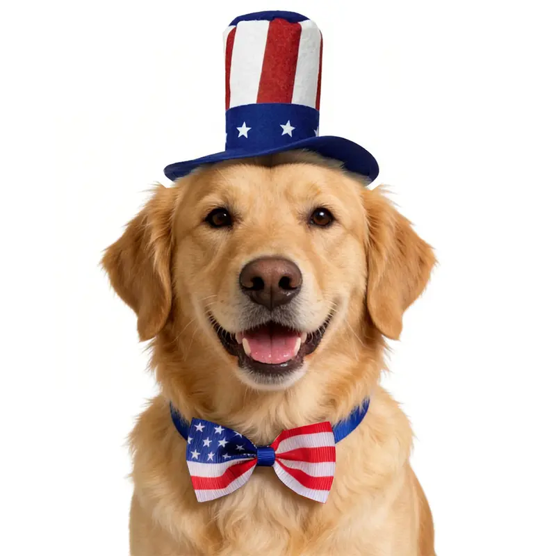 USA Flag Hat And Bow Tie Pet Set For Dogs And Cats