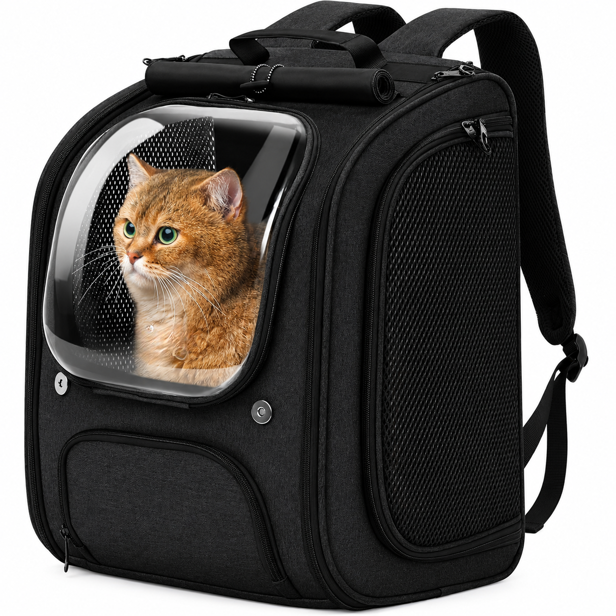Shaded 3D Design Bubble Backpack For Pets